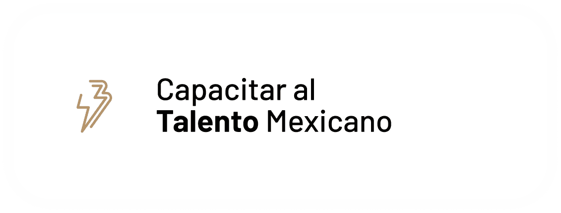 Capacitar al Talento Mexicano